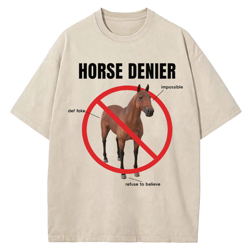 Tokyocanvas Horse Denier Analysis Washed T-Shirt
