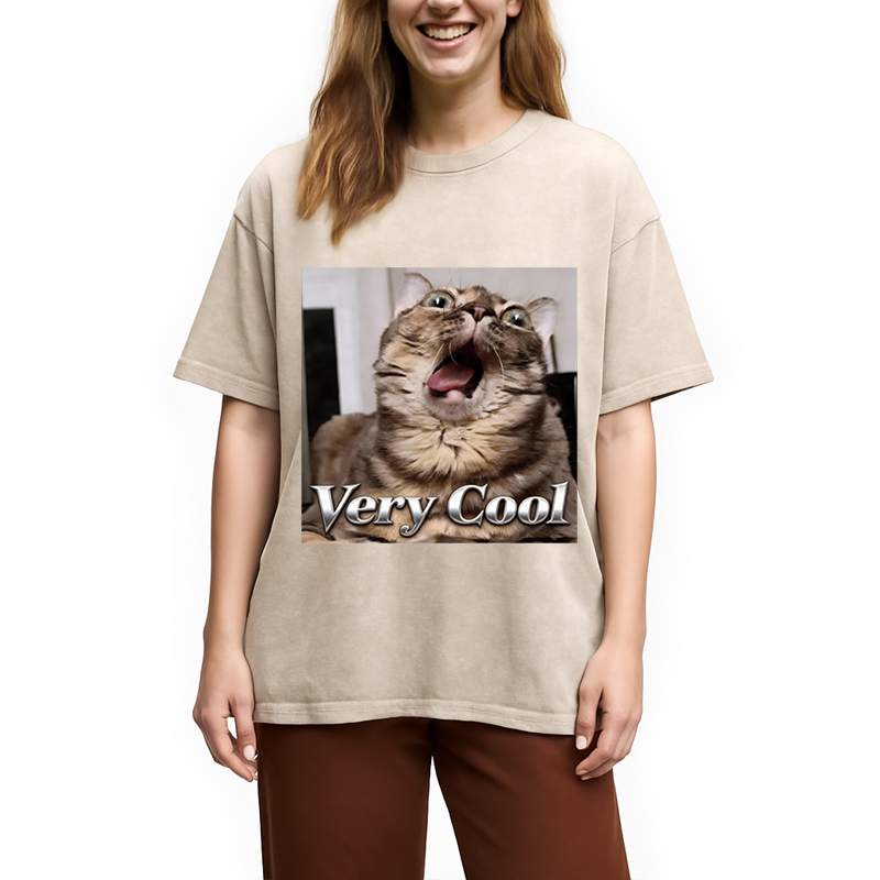 Tokyocanvas Very Cool Funny Cat Meme Washed T-Shirt