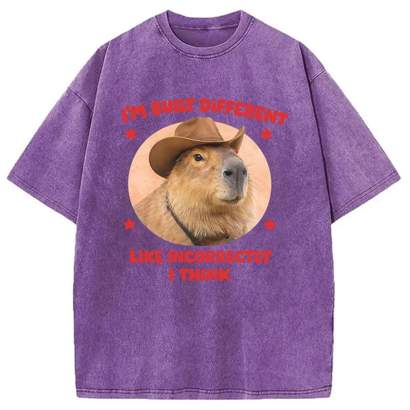 Tokyocanvas I'm Built Different Like Incorrectly Capybara Washed T-Shirt