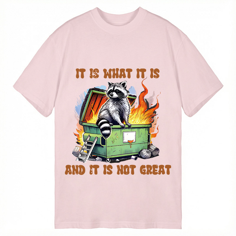 Tokyocanvas It is What Not Great Raccoon Meme Classic T-Shirt