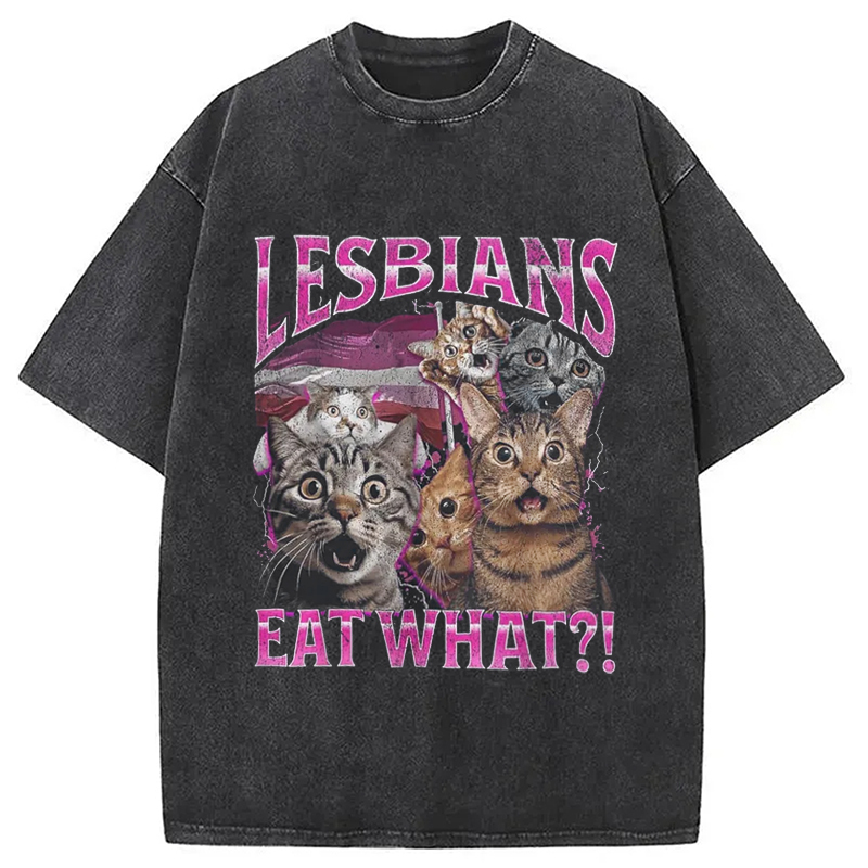 Tokyocanvas Lesbians Eat What?! Funny Washed T-Shirt