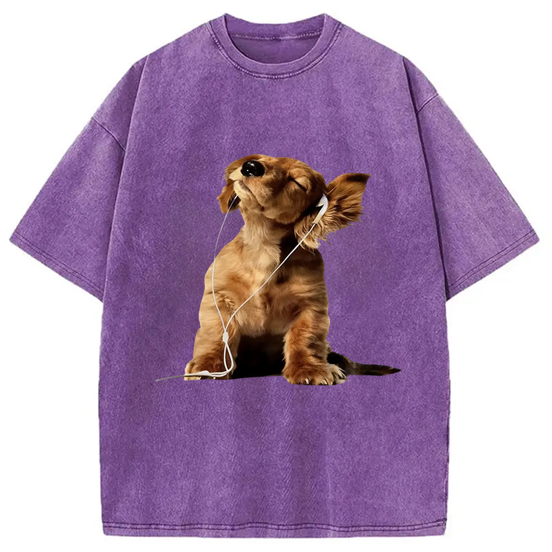 Tokyocanvas Dog Listening to Music Washed T-Shirt