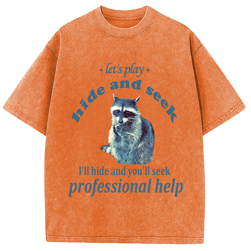 Tokyocanvas Let's Play Hide and Seek Raccoon Washed T-Shirt