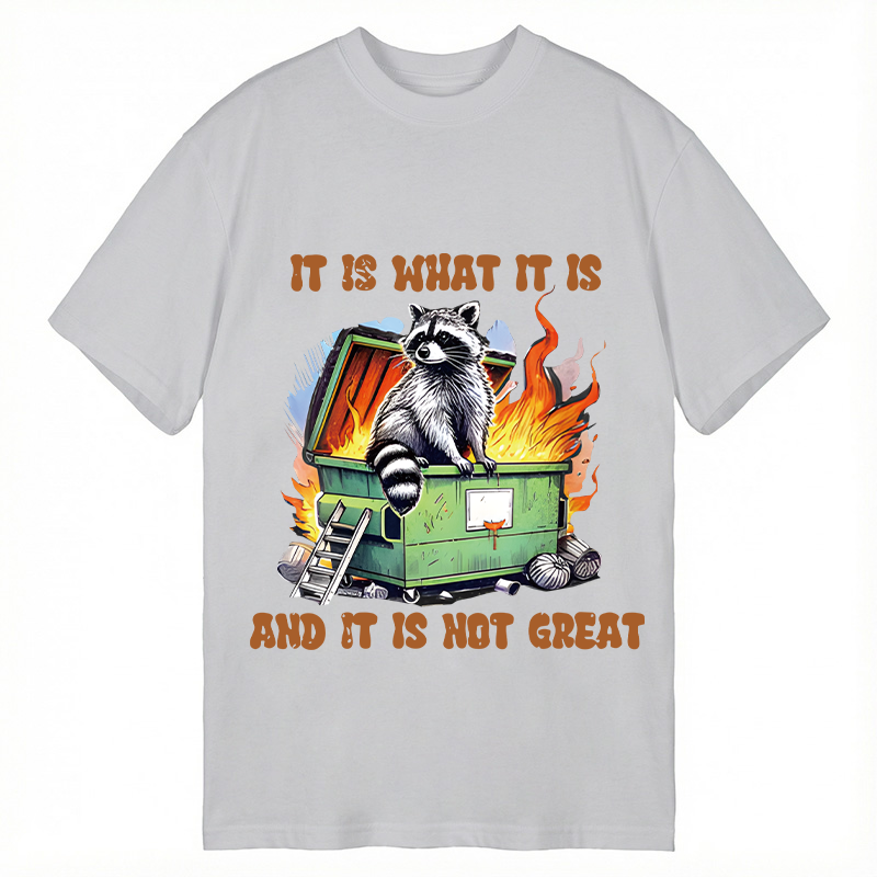 Tokyocanvas It is What Not Great Raccoon Meme Classic T-Shirt