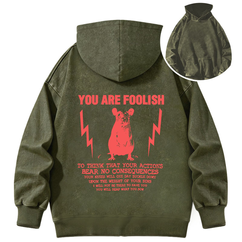 Tokyocanvas You Are Foolish Rat Meme Washed Hoodie