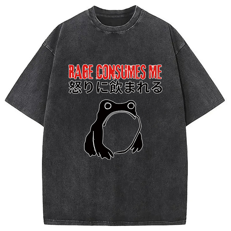 Tokyocanvas Rage Consumes Me Frog Meme Washed T-Shirt