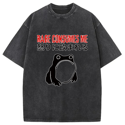 Tokyocanvas Rage Consumes Me Frog Meme Washed T-Shirt