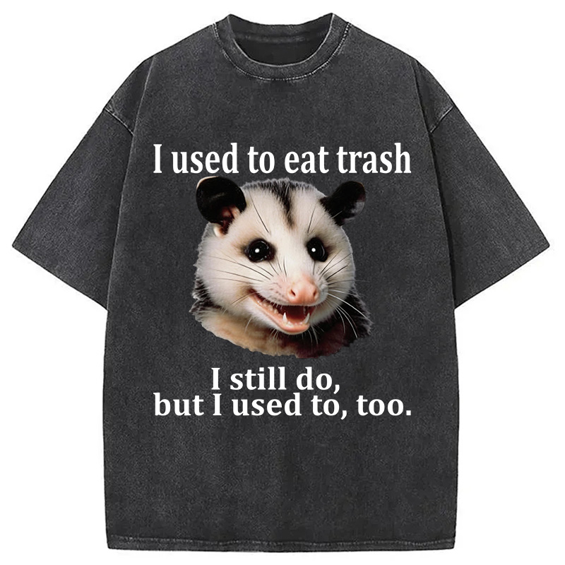 Tokyocanvas Possum Washed T-Shirt