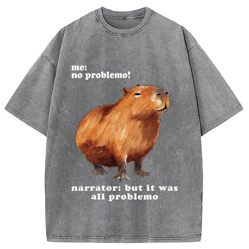 Tokyocanvas All Problemo, No Panic Washed T-Shirt