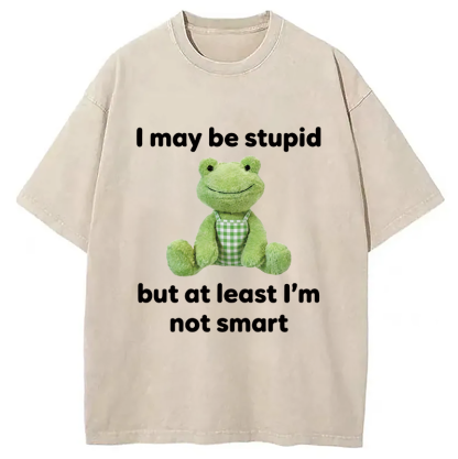 Tokyocanvas I May Be Stupid Alcohol Lover Washed T-Shirt