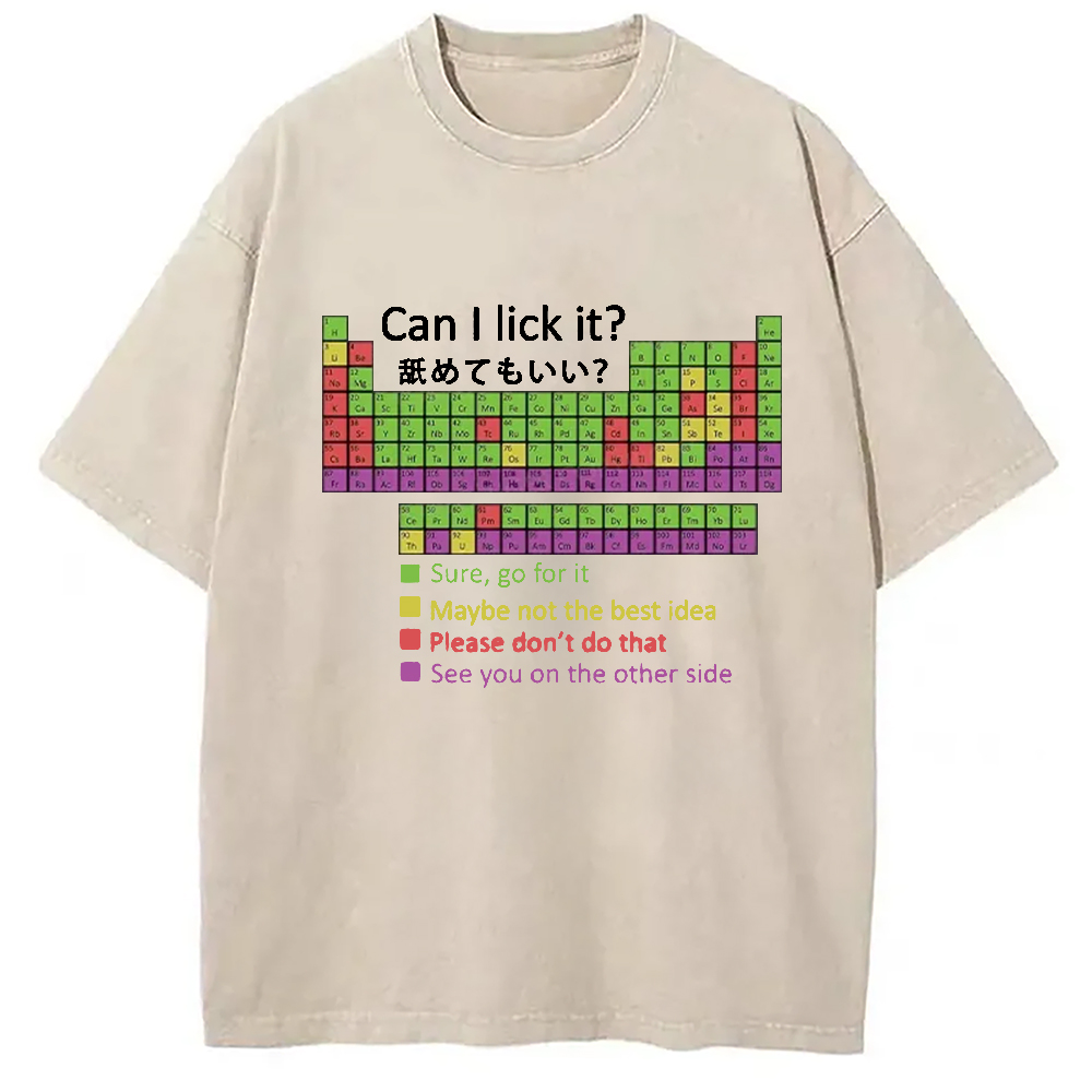 Tokyocanvas Can I Lick It Washed T-Shirt