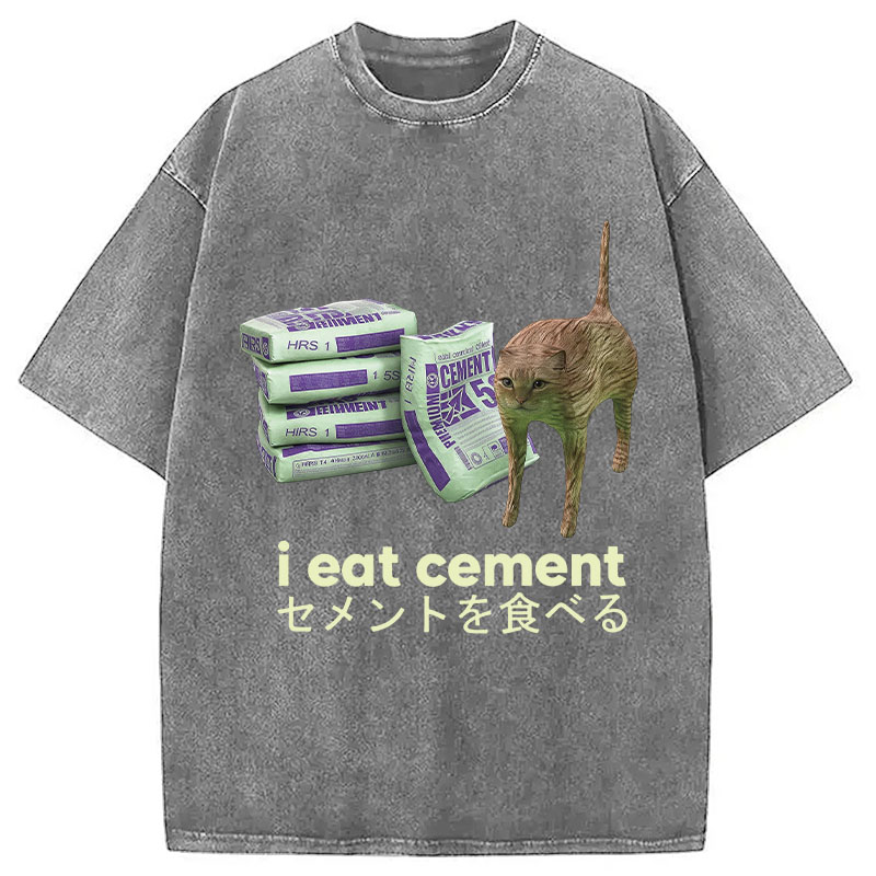Tokyocanvas Funny Internet Cement Cat Washed T-Shirt
