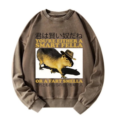 Tokyocanvas Smart Fella Fart Smella Capybara Washed Sweatshirt