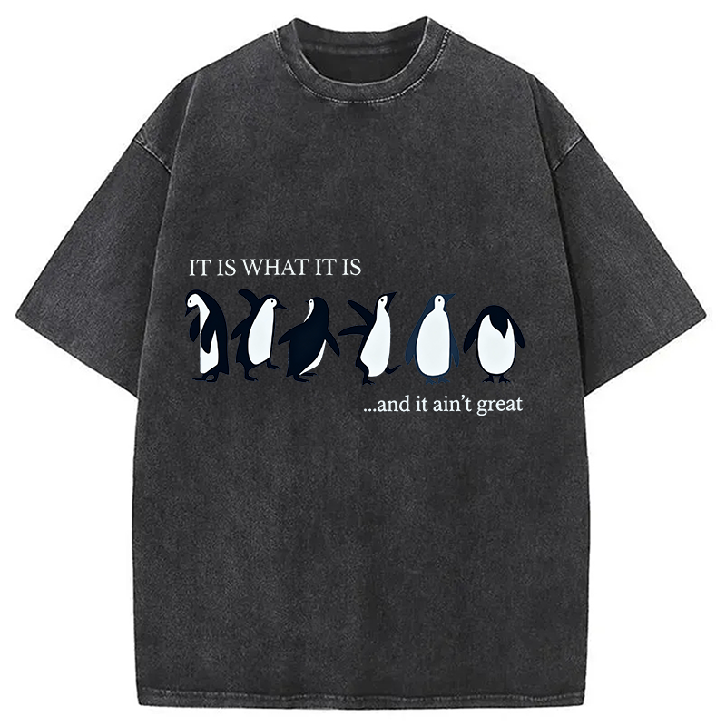 Tokyocanvas Funny Penguin Washed T-Shirt