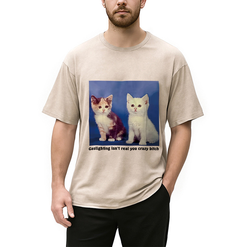 Tokyocanvas Gaslighting Isn't Real You Crazy Bit*h Washed T-Shirt