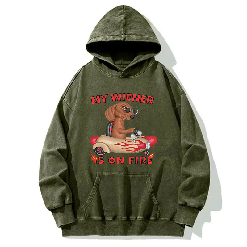 Tokyocanvas My Wiener Is On Fire Funny Dog Washed Hoodie