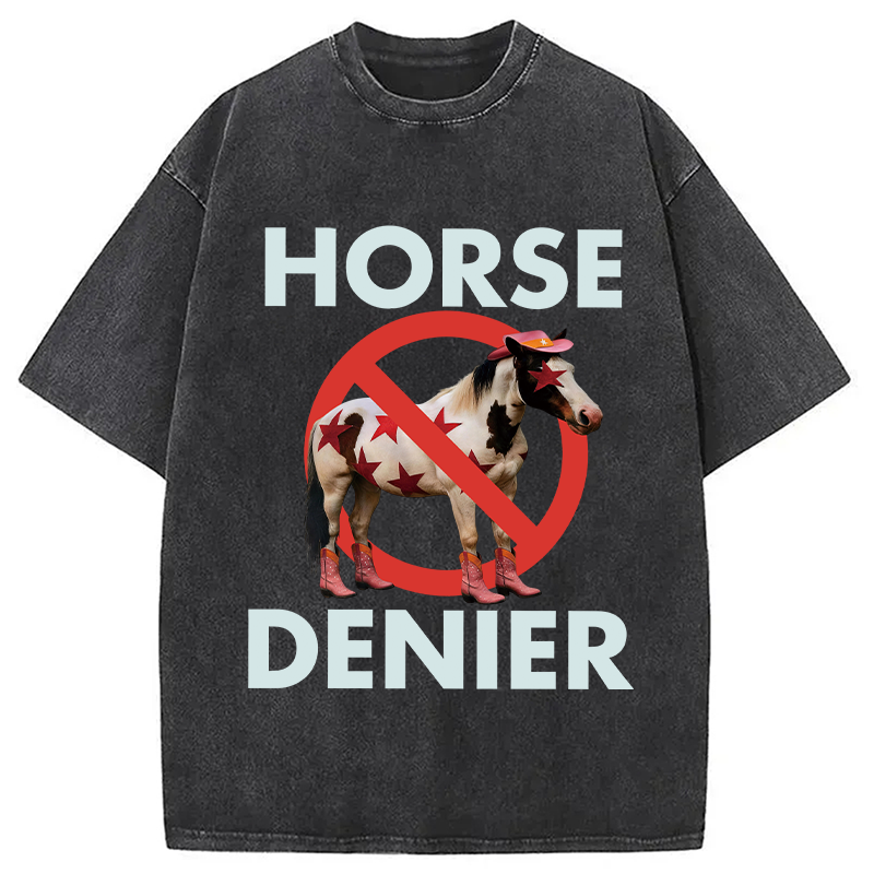 Tokyocanvas Funny Star-Spangled Cowboy Horse Denier Washed T-Shirt