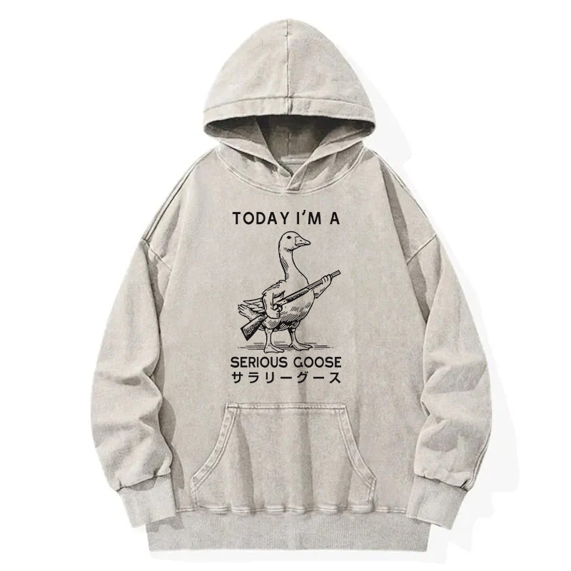 Tokyocanvas Serious Stupid Goose Washed Hoodie