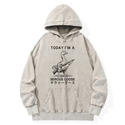 Tokyocanvas Serious Stupid Goose Washed Hoodie