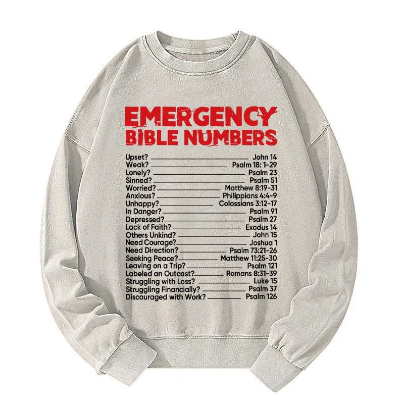 Tokyocanvas Bible Emergency Numbers Washed Sweatshirt