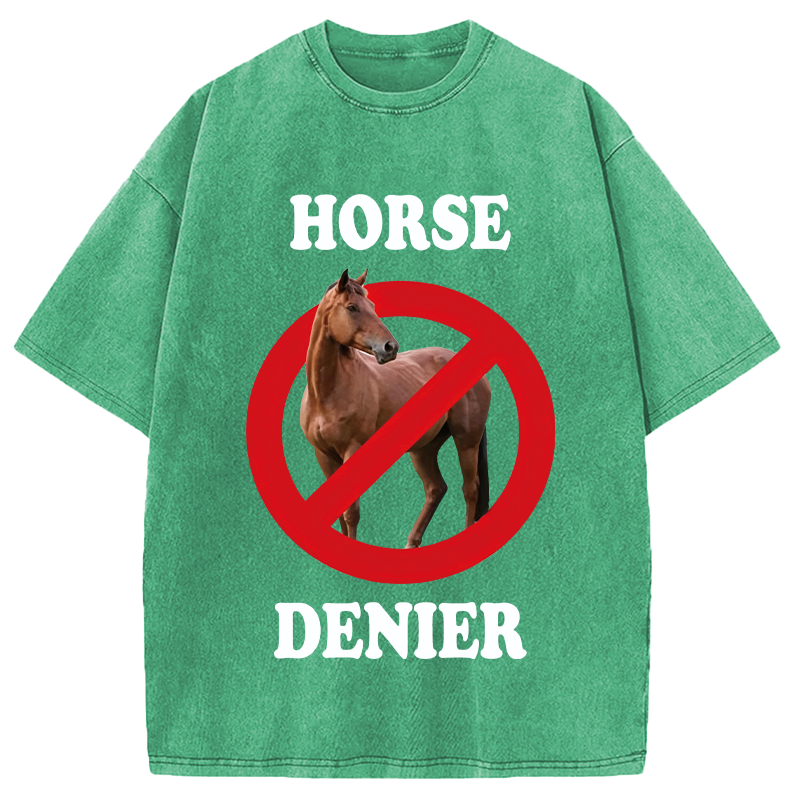 Tokyocanvas Horse Denier Meme Washed T-Shirt