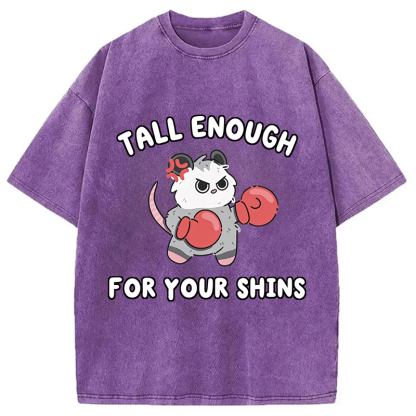 Tokyocanvas Tall Enough For Your Shins Washed T-Shirt