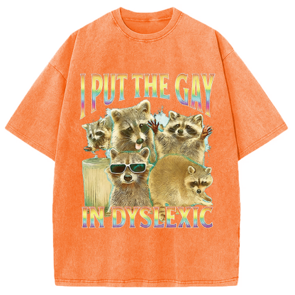Tokyocanvas I Put The Gay In Dyslexic Funny Raccoon Meme Washed T-Shirt