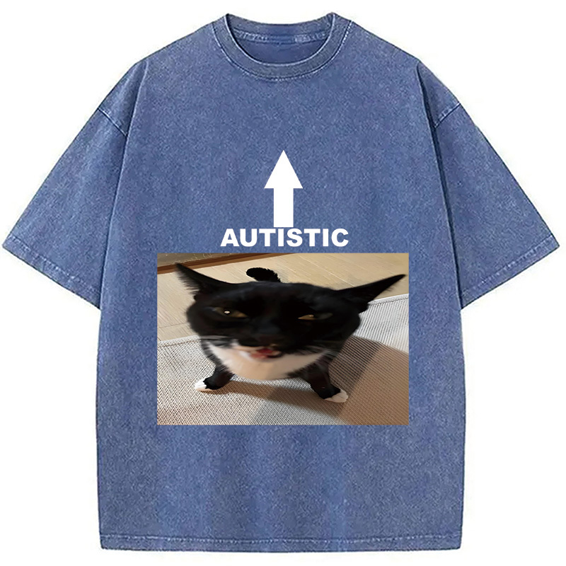 Tokyocanvas Autistic Cat Washed T-Shirt