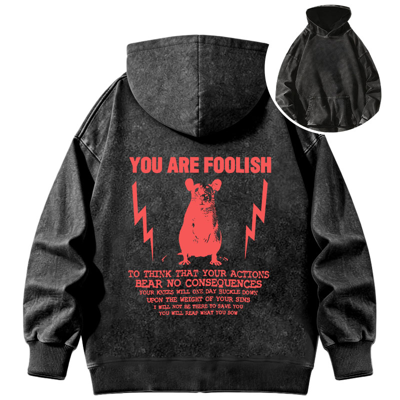 Tokyocanvas You Are Foolish Rat Meme Washed Hoodie