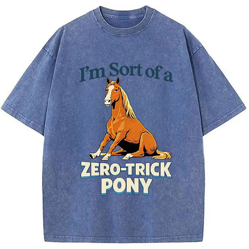 Tokyocanvas Zero Trick Pony Washed T-Shirt