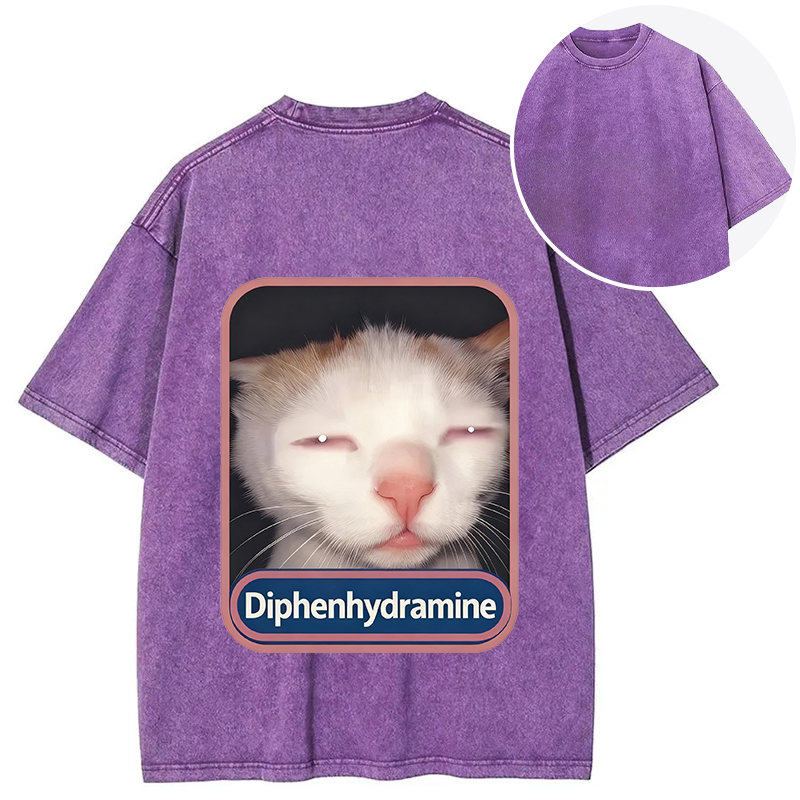 Tokyocanvas Funny Cat Meme Back Washed T-Shirt