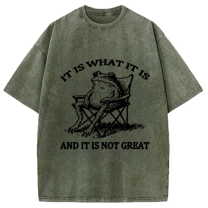 Tokyocanvas Resting Frog Funny Washed T-Shirt