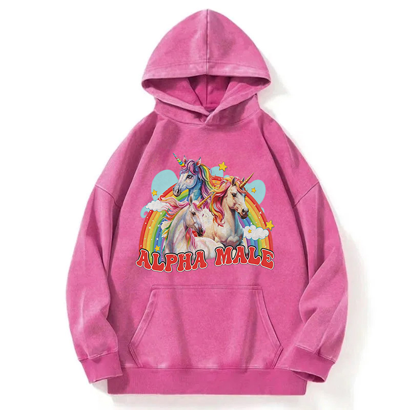 Tokyocanvas Alpha Male Unicorn Washed Hoodie