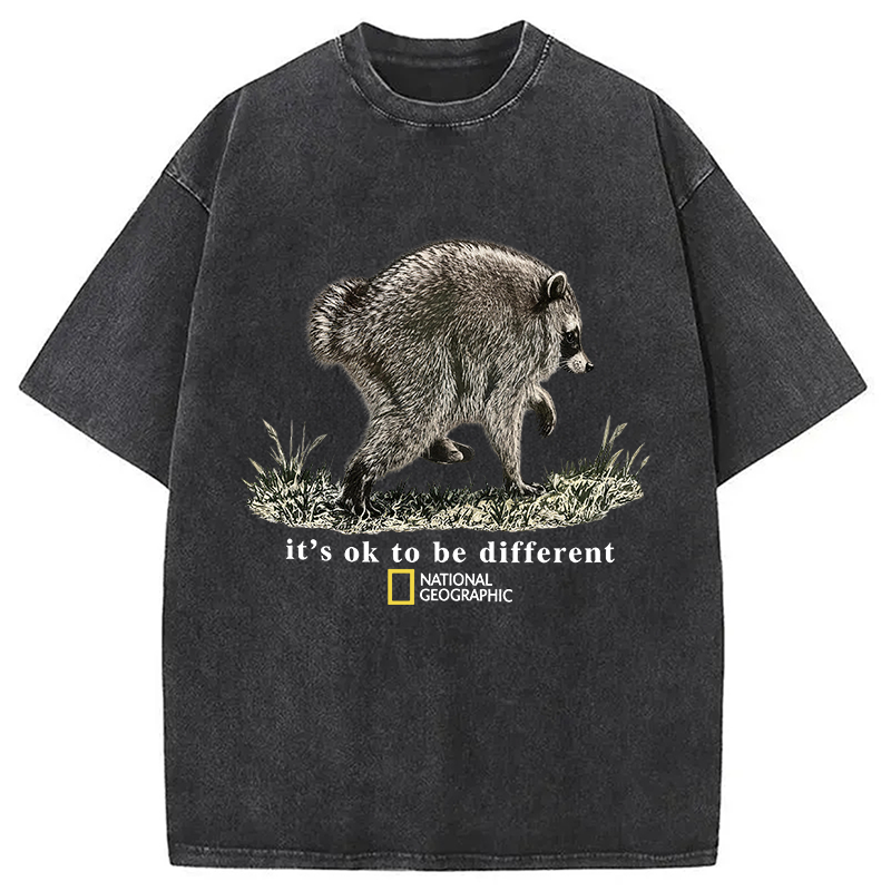 Tokyocanvas It’s OK to be Different Washed T-Shirt