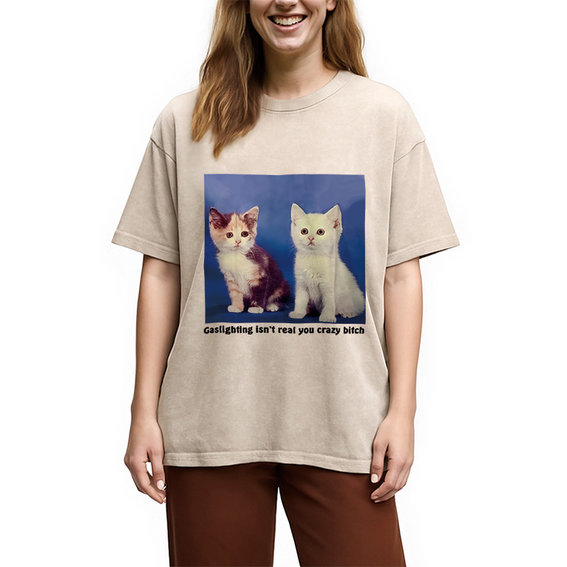 Tokyocanvas Gaslighting Isn't Real You Crazy Bit*h Washed T-Shirt
