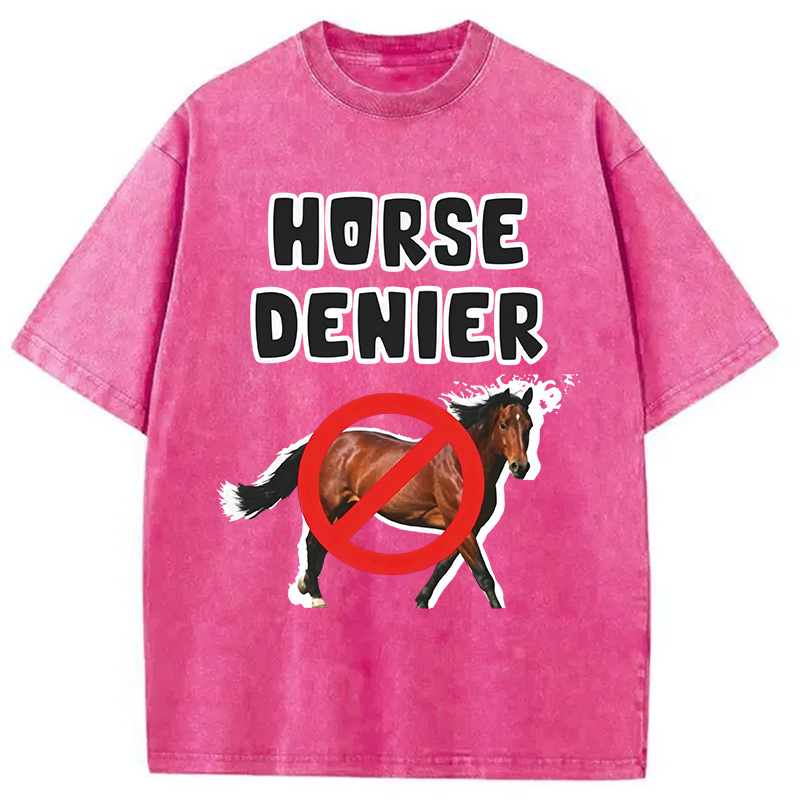 Tokyocanvas Horse Denier Funny Meme Washed T-Shirt