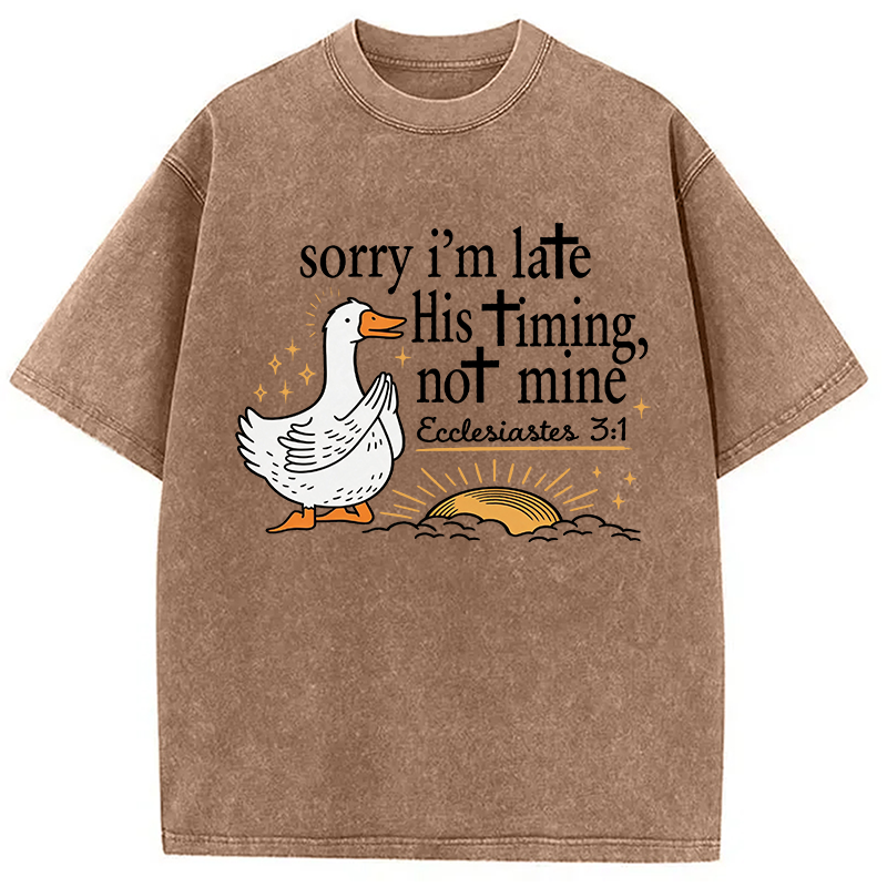 Tokyocanvas His Timing Not Mine Goose Washed T-Shirt