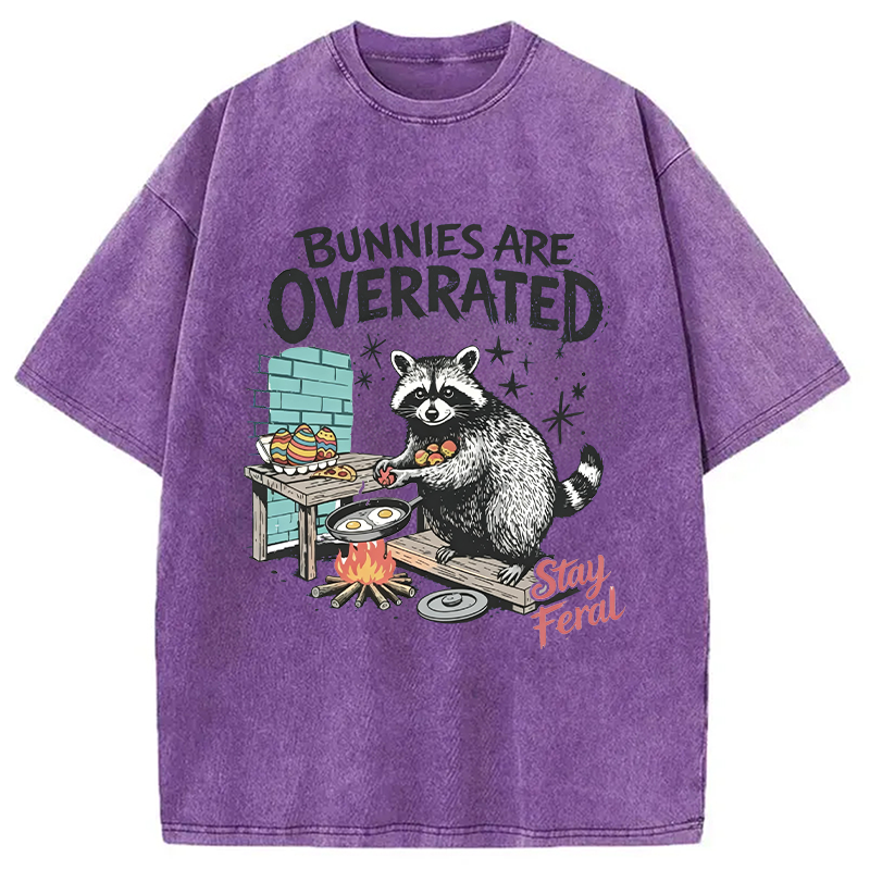 Tokyocanvas Bunnies Are Overrated Raccoon Easter Washed T-Shirt