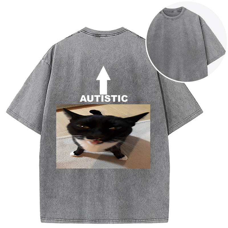 Tokyocanvas Autistic Cat Back Washed T-Shirt