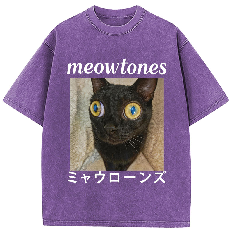 Tokyocanvas Meowlones Washed T-Shirt