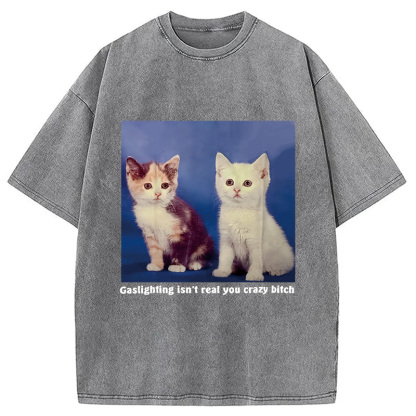Tokyocanvas Gaslighting Isn't Real You Crazy Bit*h Washed T-Shirt
