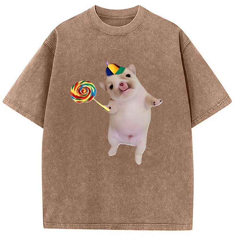 Tokyocanvas Funny Silly Dog with Lollipop Meme Washed T-Shirt