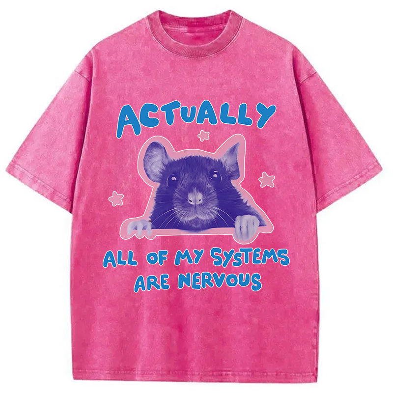 Tokyocanvas Actually All Of My Systems Are Nervous Washed T-Shirt