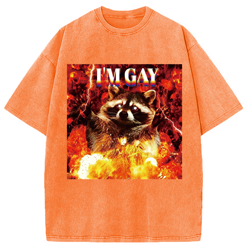 Tokyocanvas I'm Gay Washed T-Shirt