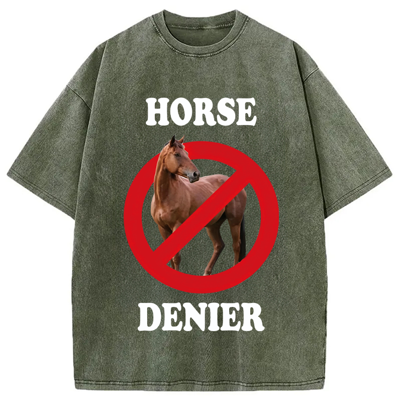 Tokyocanvas Horse Denier Meme Washed T-Shirt