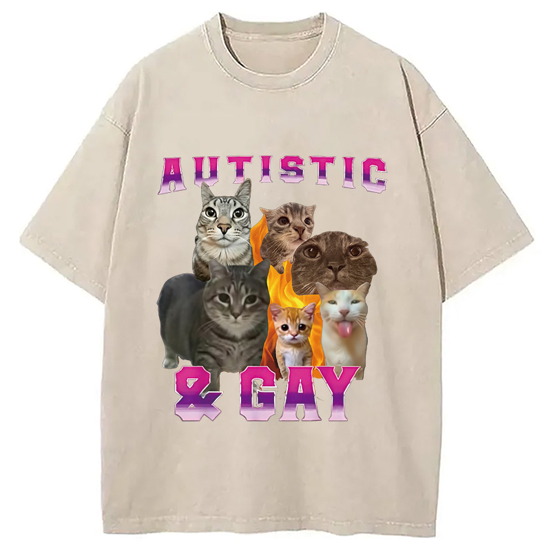 Tokyocanvas Funny Memes Brainrot Brain Rot Washed T-Shirt