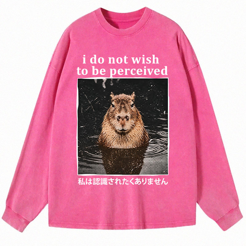 Tokyocanvas I Do Not Wish to Be Perceived Capybara Long Sleeve Washed T-Shirt