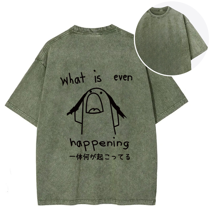 Tokyocanvas What Is Even Happening Back Washed T-Shirt
