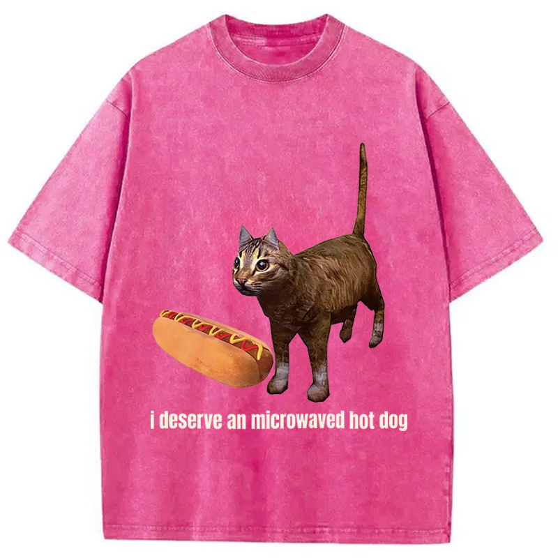 Tokyocanvas Cat Hotdog Meme Washed T-Shirt
