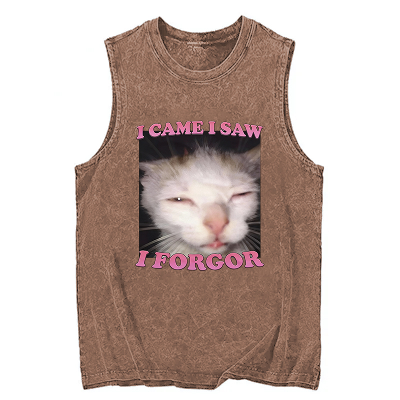 Tokyocanvas I Forgor Funny Cat Meme Washed Tank